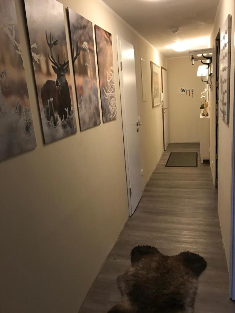 Апартаменти Wurmbergtraum Celina In Braunlage 4 Sterne Zertifiziert Vom Dtv Inklusive Waeschepakete Екстер'єр фото